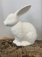 Load image into Gallery viewer, Carved Rabbit