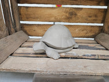 Load image into Gallery viewer, Turtle Box
