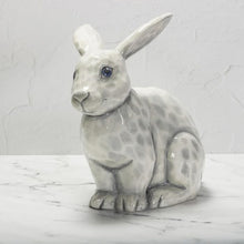 Load image into Gallery viewer, Carved Rabbit
